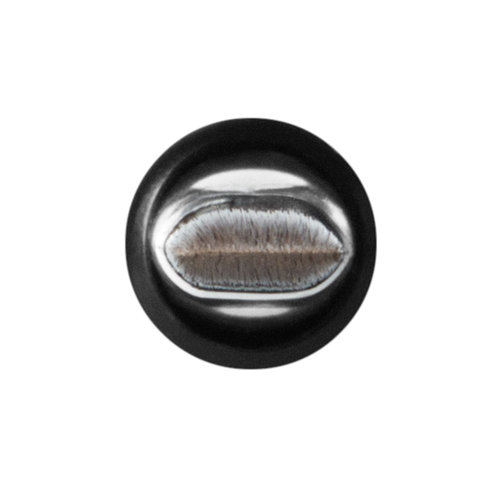 318 Retractable Lip Brush