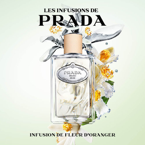 Infusion de Fleur d