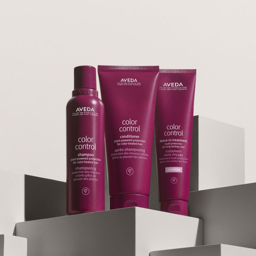 Color Control Leave In Treatment Light 150ml