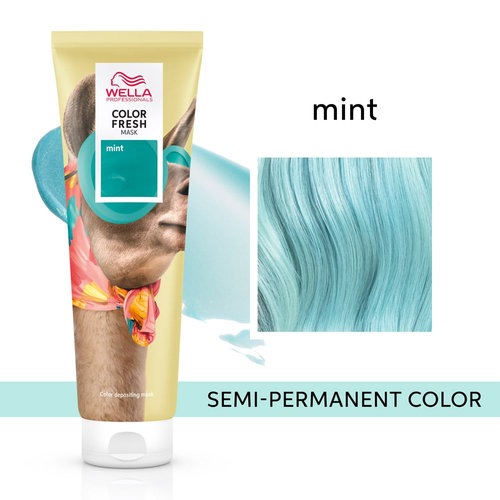 Color Fresh Mask Mask Mint 150ml