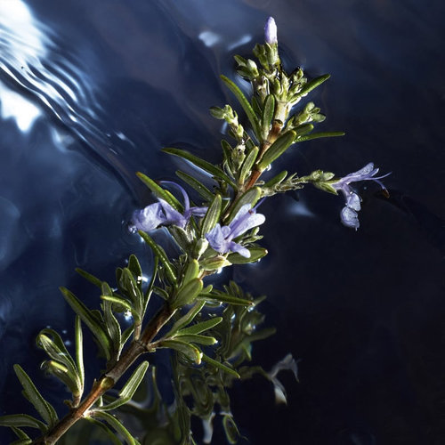 Cool Water Reborn For Him Eau De Toilette