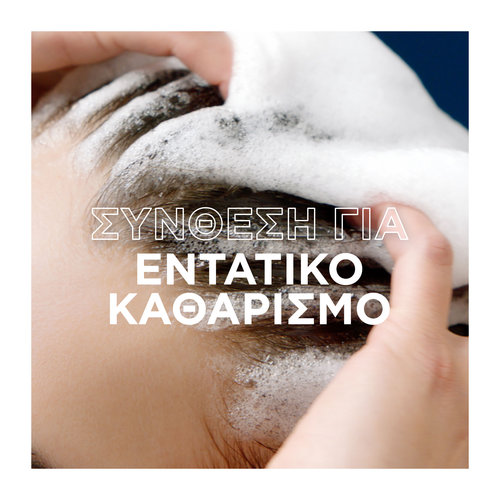 Botanic Therapy Σαμπουάν Magnetic Charcoal 400ml