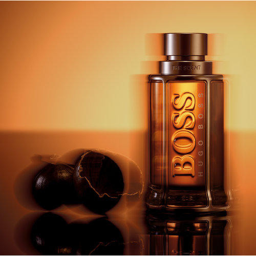 Hugo Boss The Scent Le Parfum for Him